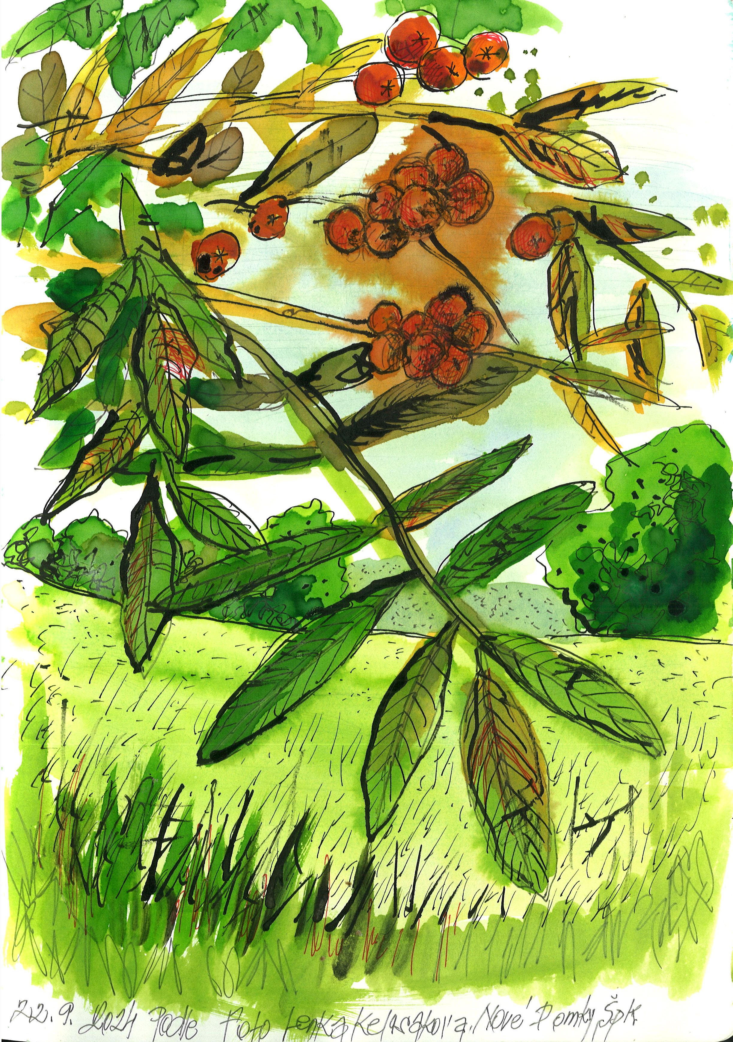 Branches of Berries